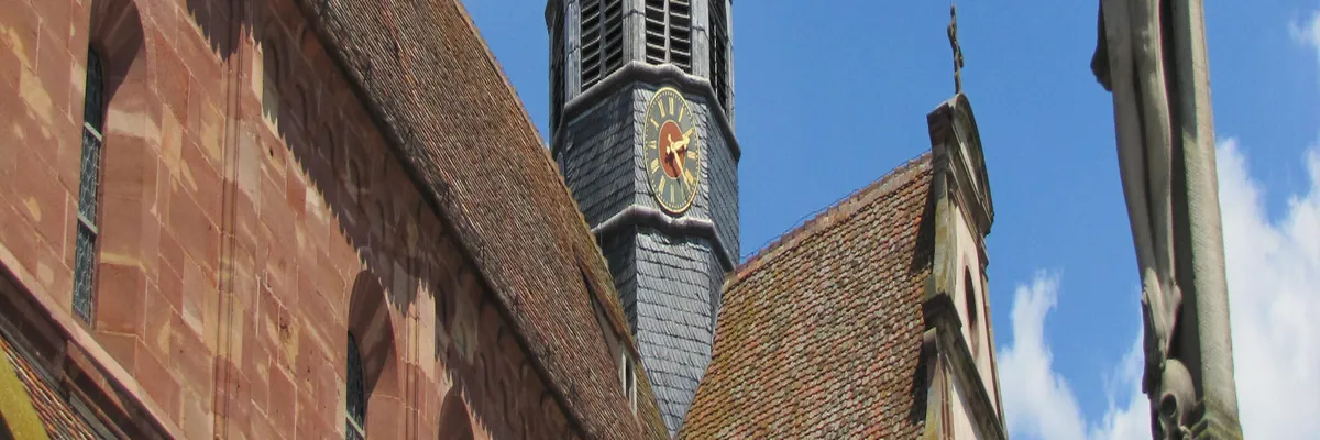 Image Fabricant piscine inox Altorf