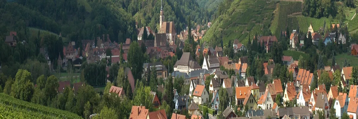 Image Fabricant piscine inox Andlau