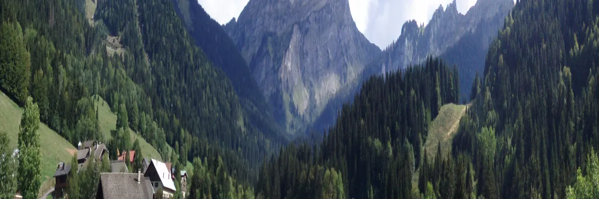 Image Fabricant piscine inox Bellevaux