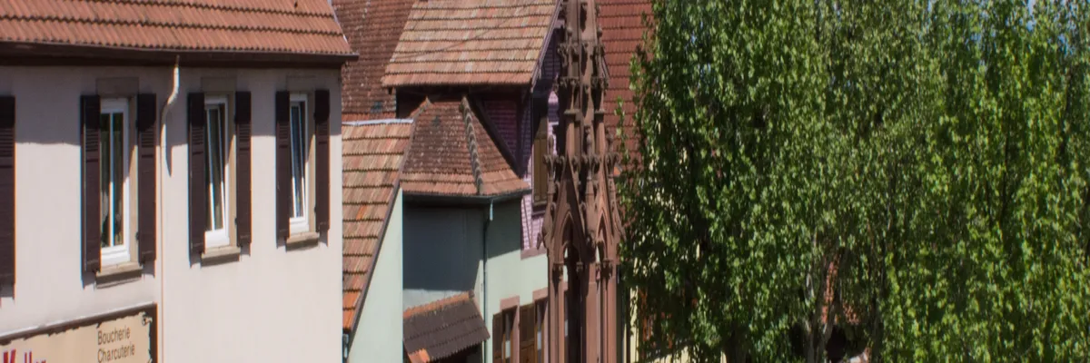 Image Fabricant piscine inox Bischoffsheim