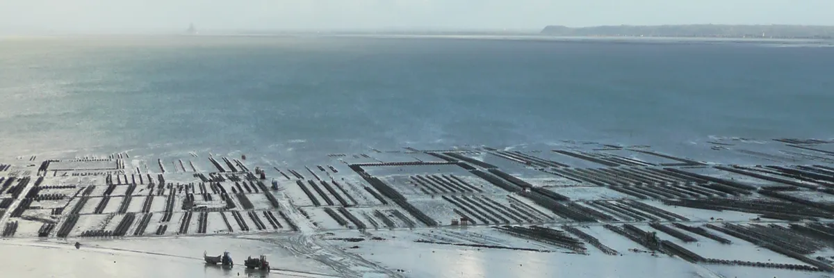 Image Fabricant piscine inox Cancale