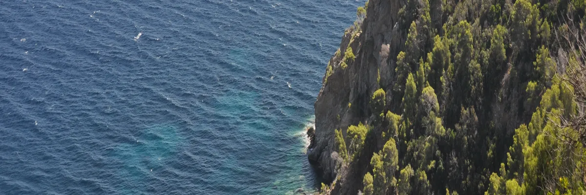 Image Fabricant piscine inox Cavalaire-sur-Mer