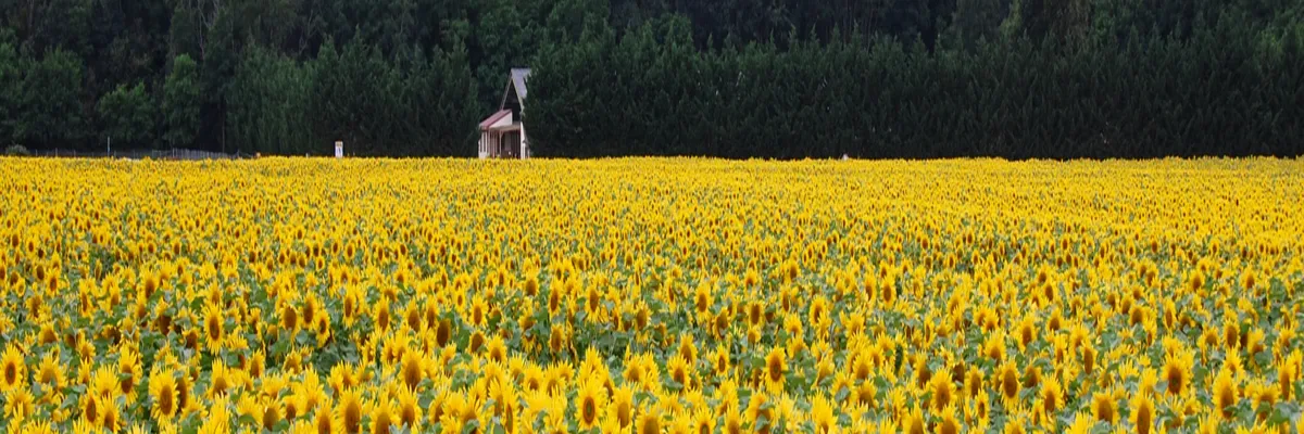Image Fabricant piscine inox Centre-Val de Loire