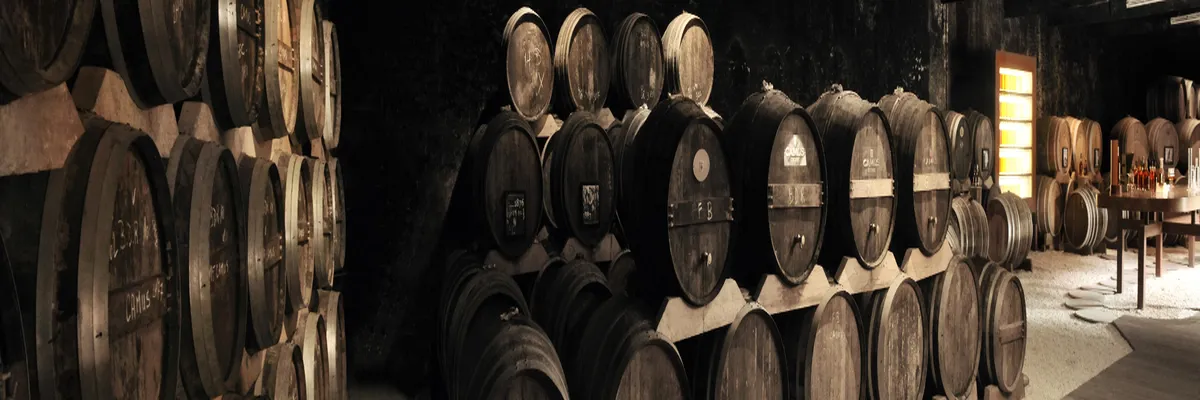 Image Fabricant piscine inox Cognac