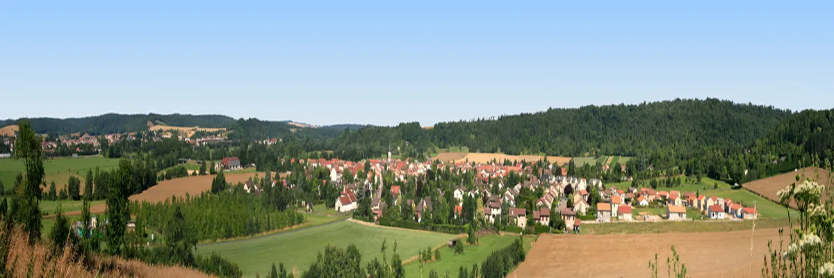 Image Fabricant piscine inox Commercy