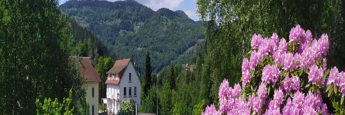 Image Fabricant piscine inox Cornimont