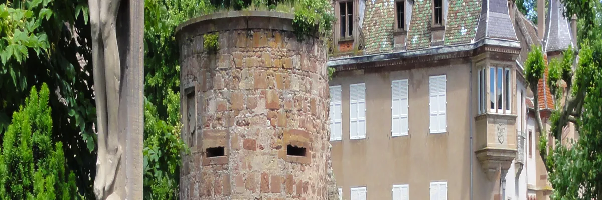 Image Fabricant piscine inox Dachstein