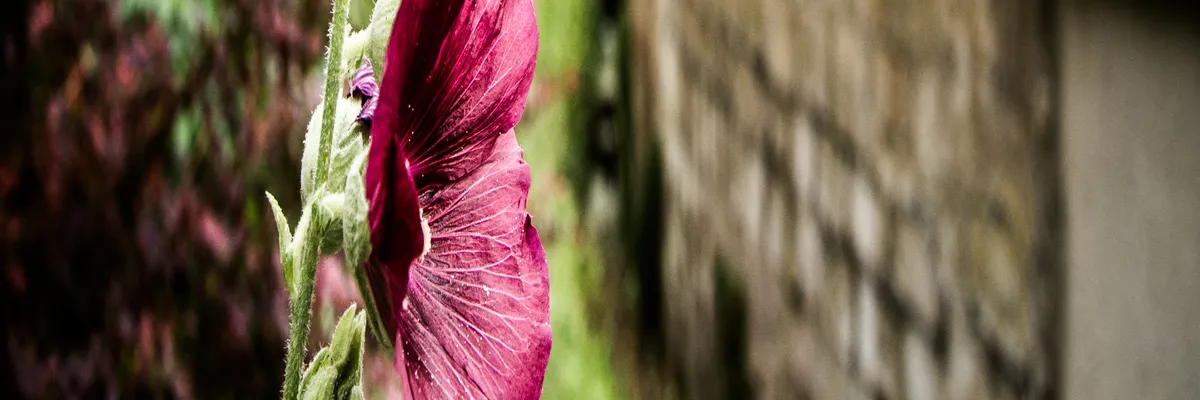 Image Fabricant piscine inox Éragny
