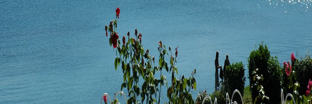 Image Fabricant piscine inox Excenevex