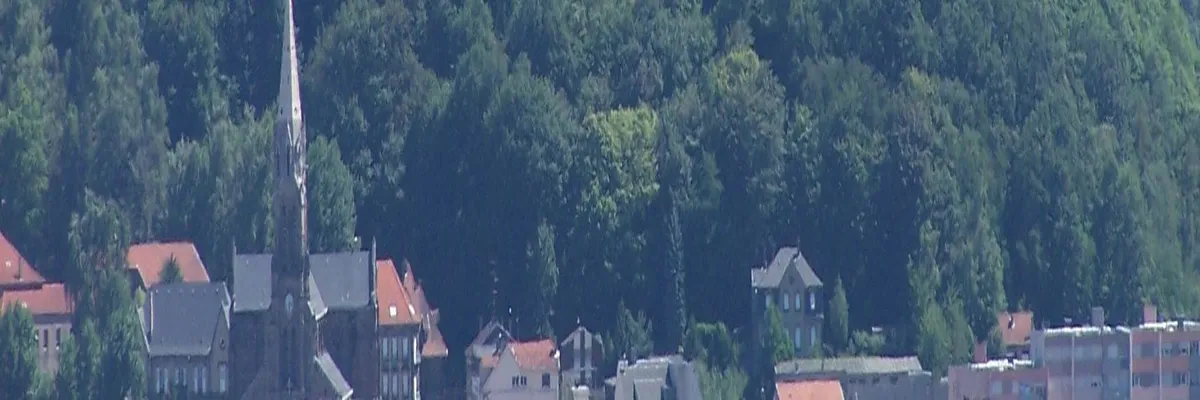 Image Fabricant piscine inox Forbach