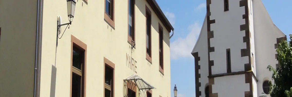 Image Fabricant piscine inox Gresswiller