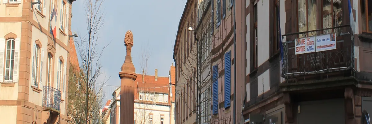 Image Fabricant piscine inox Haguenau