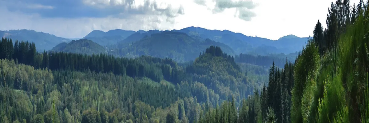 Image Fabricant piscine inox Haute-Vienne