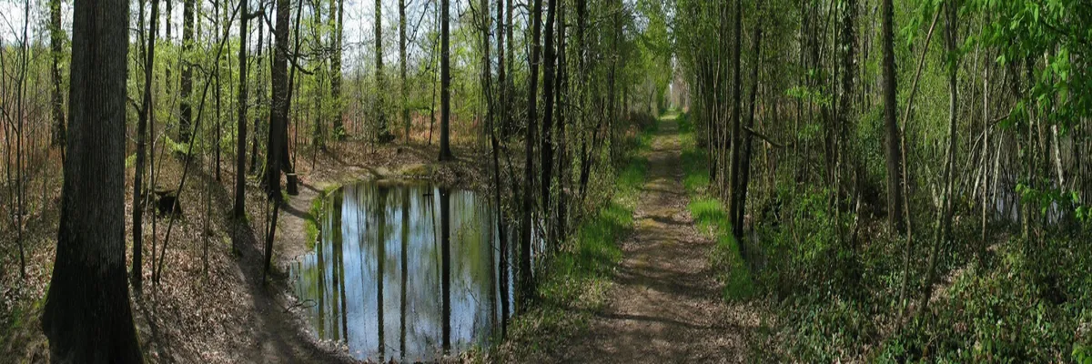 Image Fabricant piscine inox Indre