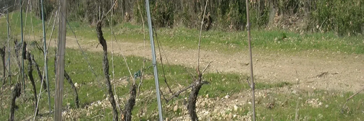 Image Fabricant piscine inox Lagrave