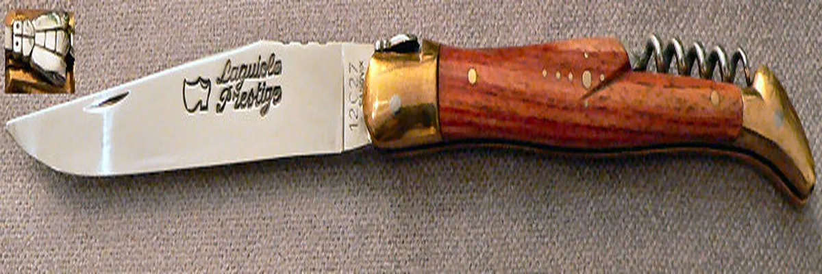 Image Fabricant piscine inox Laguiole