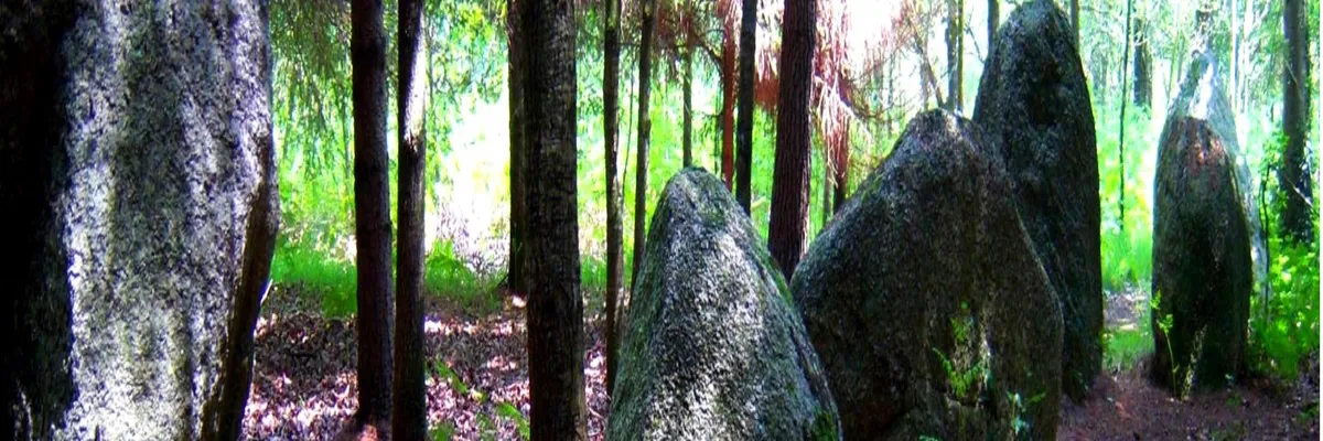 Image Fabricant piscine inox Languidic