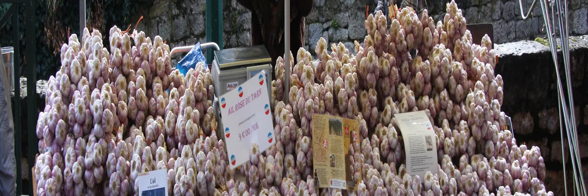 Image Fabricant piscine inox Lautrec