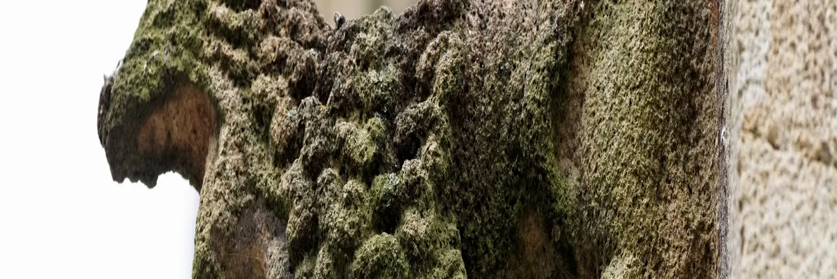 Image Fabricant piscine inox Le Faou