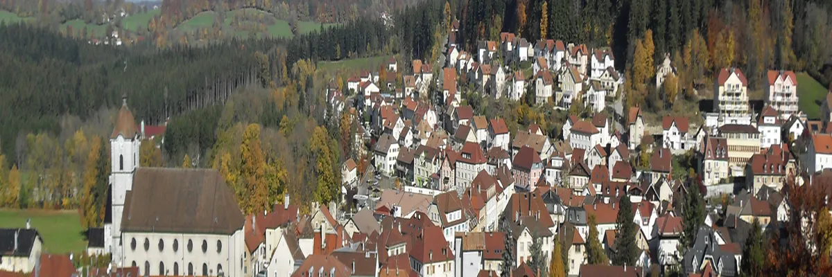 Image Fabricant piscine inox Maîche