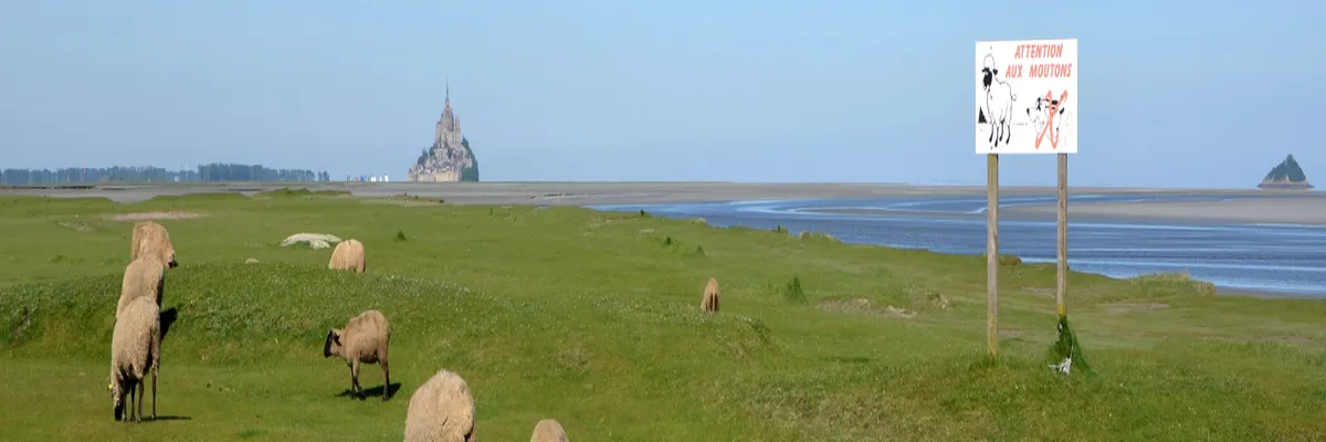 Image Fabricant piscine inox Manche