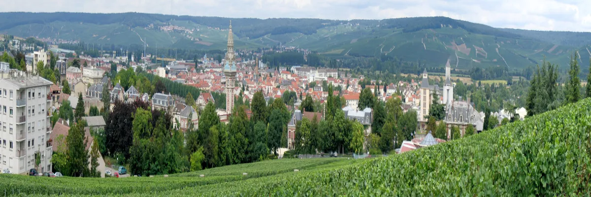 Image Fabricant piscine inox Marne