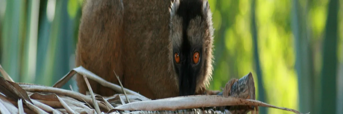Image Fabricant piscine inox Mayotte