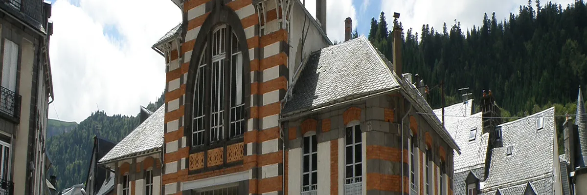 Image Fabricant piscine inox Mont-Dore