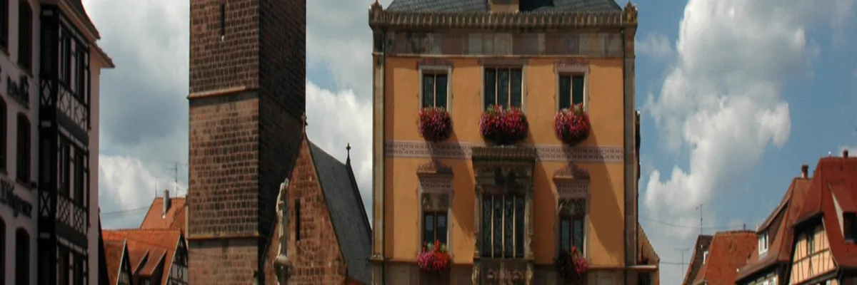 Image Fabricant piscine inox Obernai