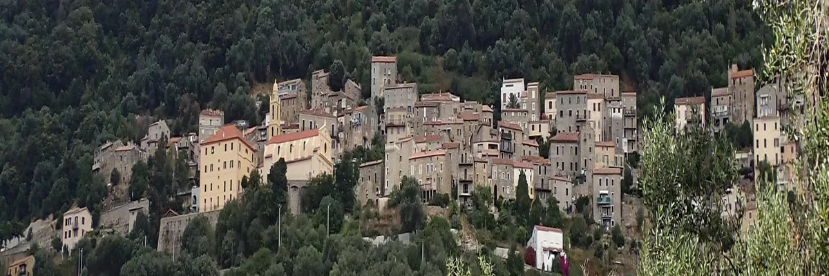 Image Fabricant piscine inox Olmeto