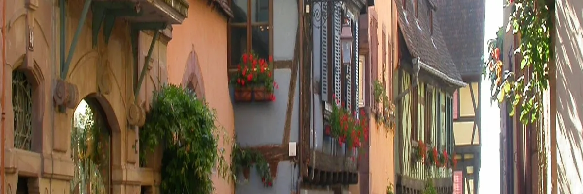 Image Fabricant piscine inox Riquewihr