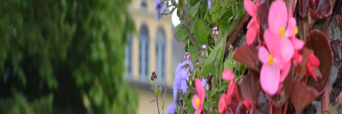 Image Fabricant piscine inox Saint-Étienne-au-Mont