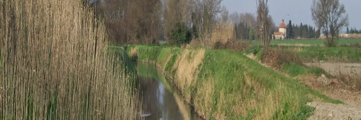 Image Fabricant piscine inox Saint-Étienne-du-Grès