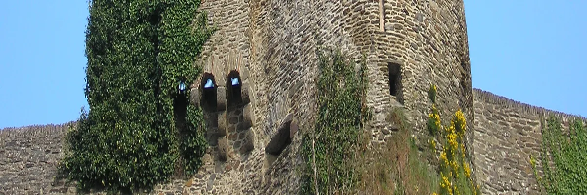 Image Fabricant piscine inox Saint-Lô