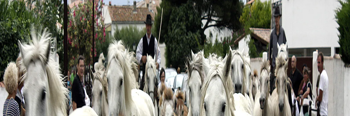 Image Fabricant piscine inox Saintes-Maries-de-la-Mer