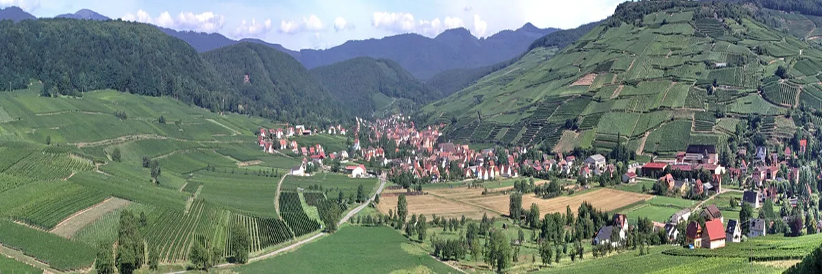 Image Fabricant piscine inox Soultzmatt