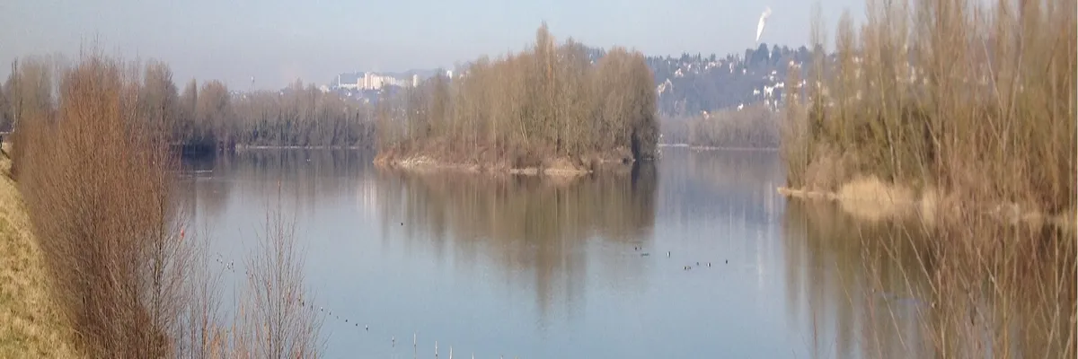 Image Fabricant piscine inox Thil