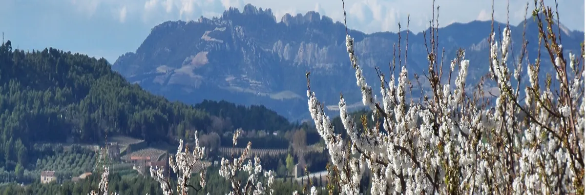 Image Fabricant piscine inox Venasque