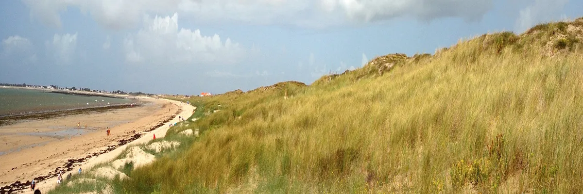 Image Fabricant piscine inox Vendée