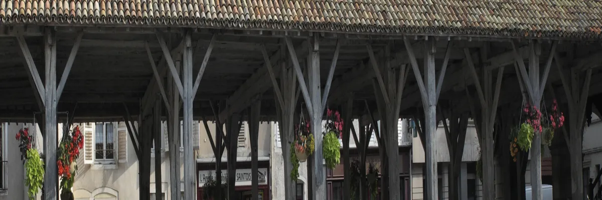 Image Fabricant piscine inox Vézelise