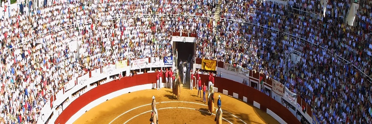 Image Fabricant piscine inox Vic-Fezensac