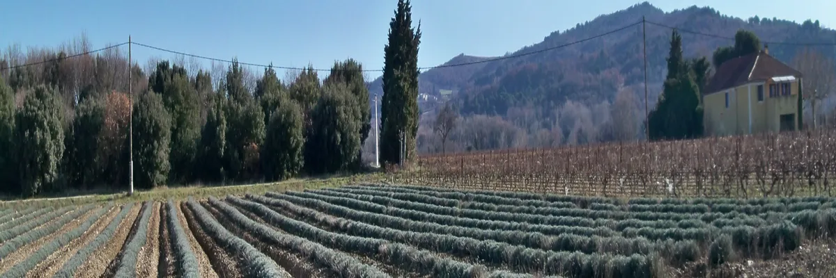 Image Fabricant piscine inox Visan