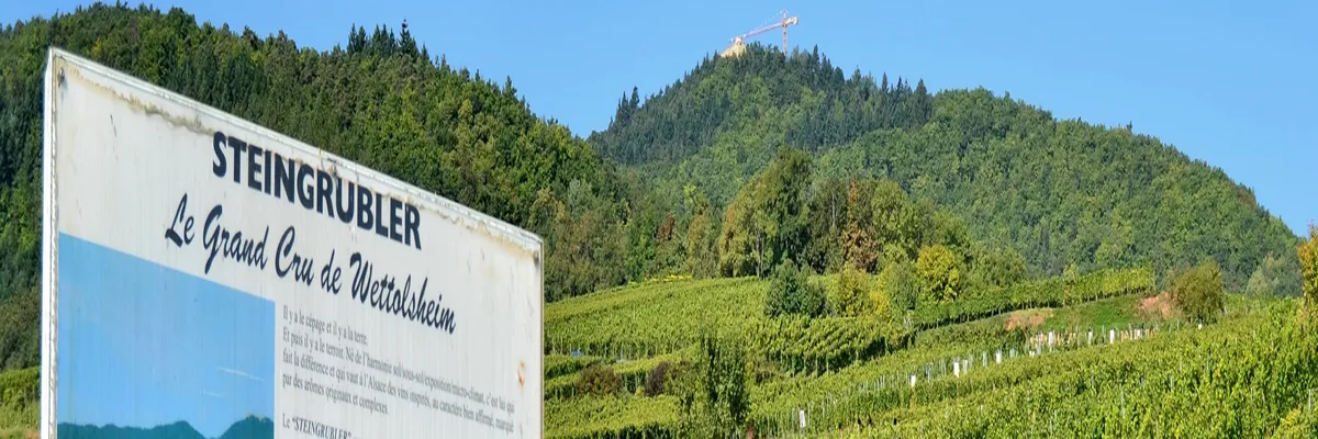 Image Fabricant piscine inox Wettolsheim