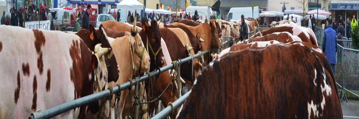 Image Fabricant piscine inox Yvetot