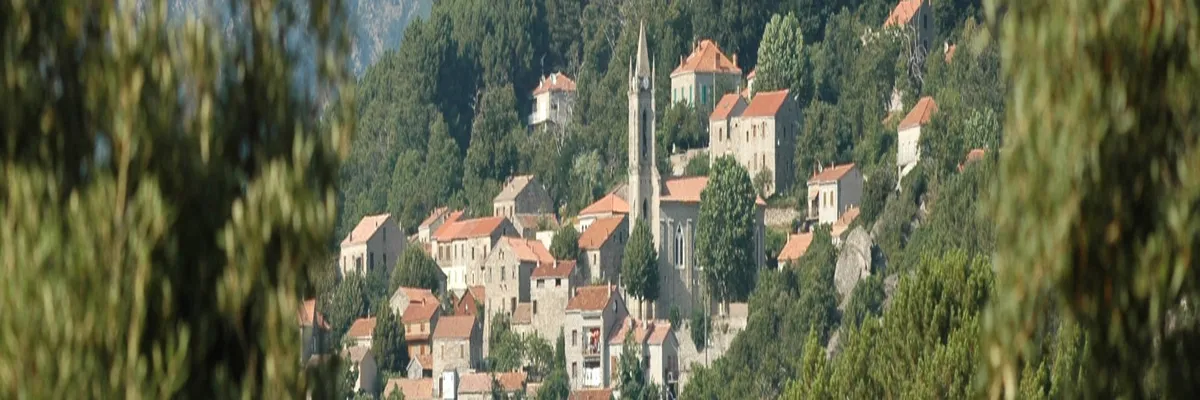 Image Fabricant piscine inox Zonza