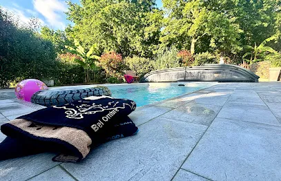 Image de AMBIANCE PISCINE 85 - Piscines Desjoyaux La Roche sur Yon