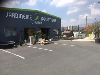 Image de Expert Bassin