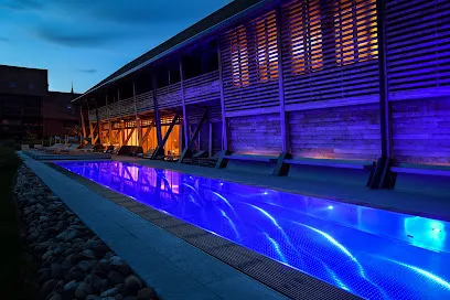 Image de INOXIA Piscine & Spa Inox