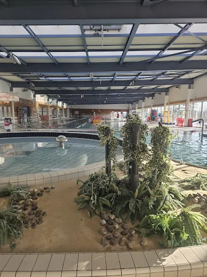 Image de Ovive - Centre Aquatique des Terres Touloises