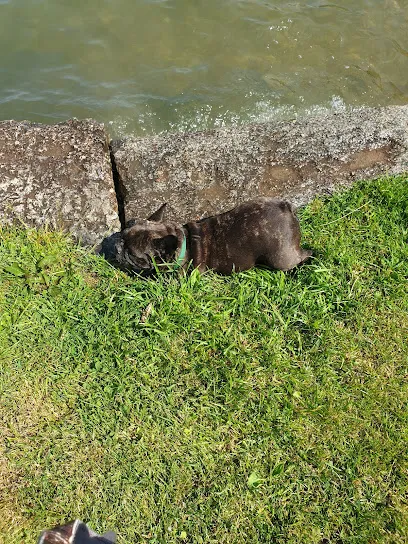 Image de Plage Saint-Joux